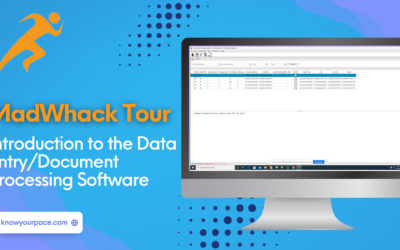 MadWhack Tour: Introduction to the Data Entry/Document Processing Software