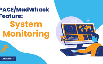 PACE/MadWhack Feature: System Monitoring
